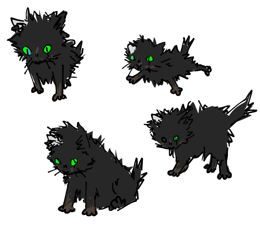 fucked up lookin cats